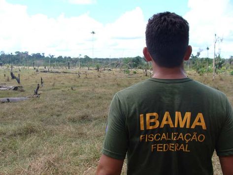 concurso ibama 2016