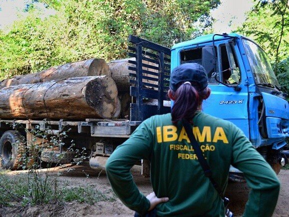 ibama.