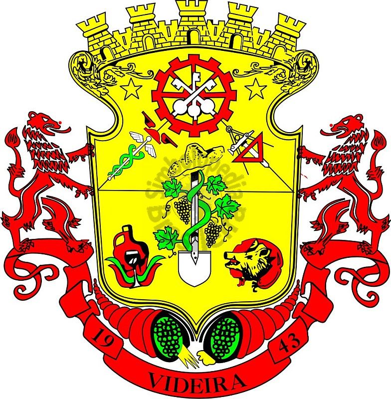videira sc