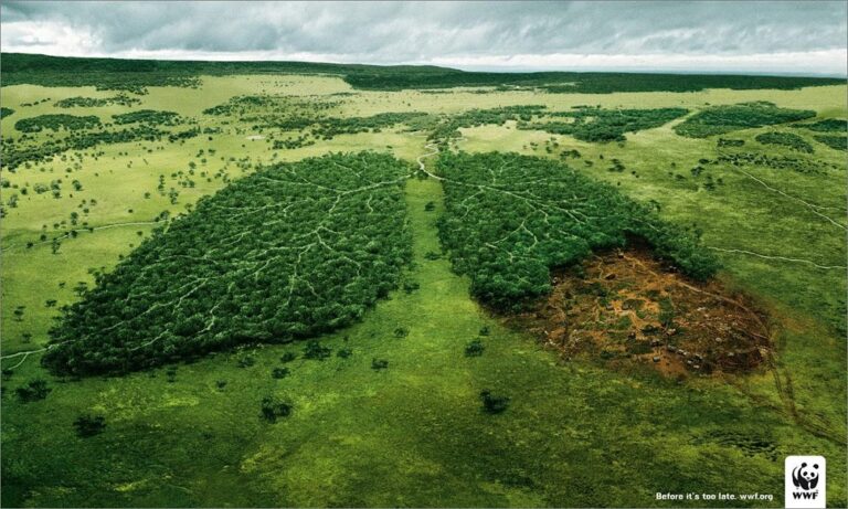 Norma do Ceará que dispensa licenciamento ambiental é invalidada no STF