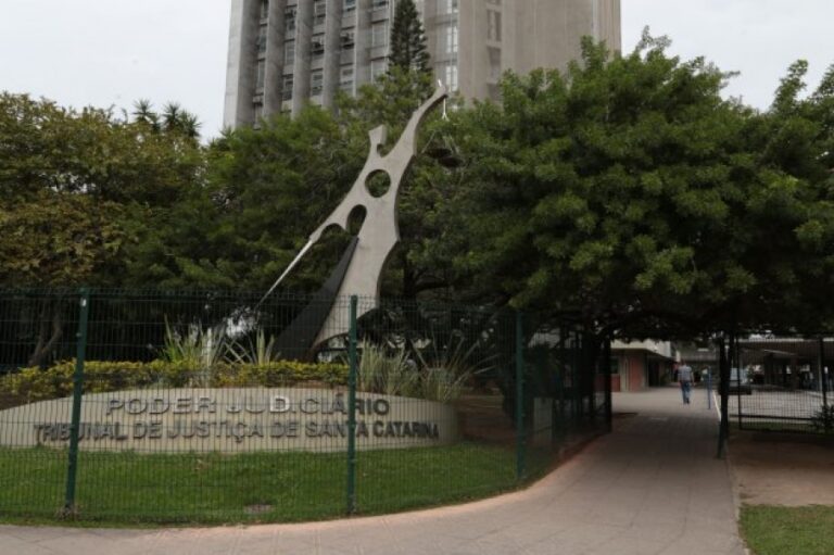 Município não pode ser compelido a instalar abrigo para crianças sem prova de demanda