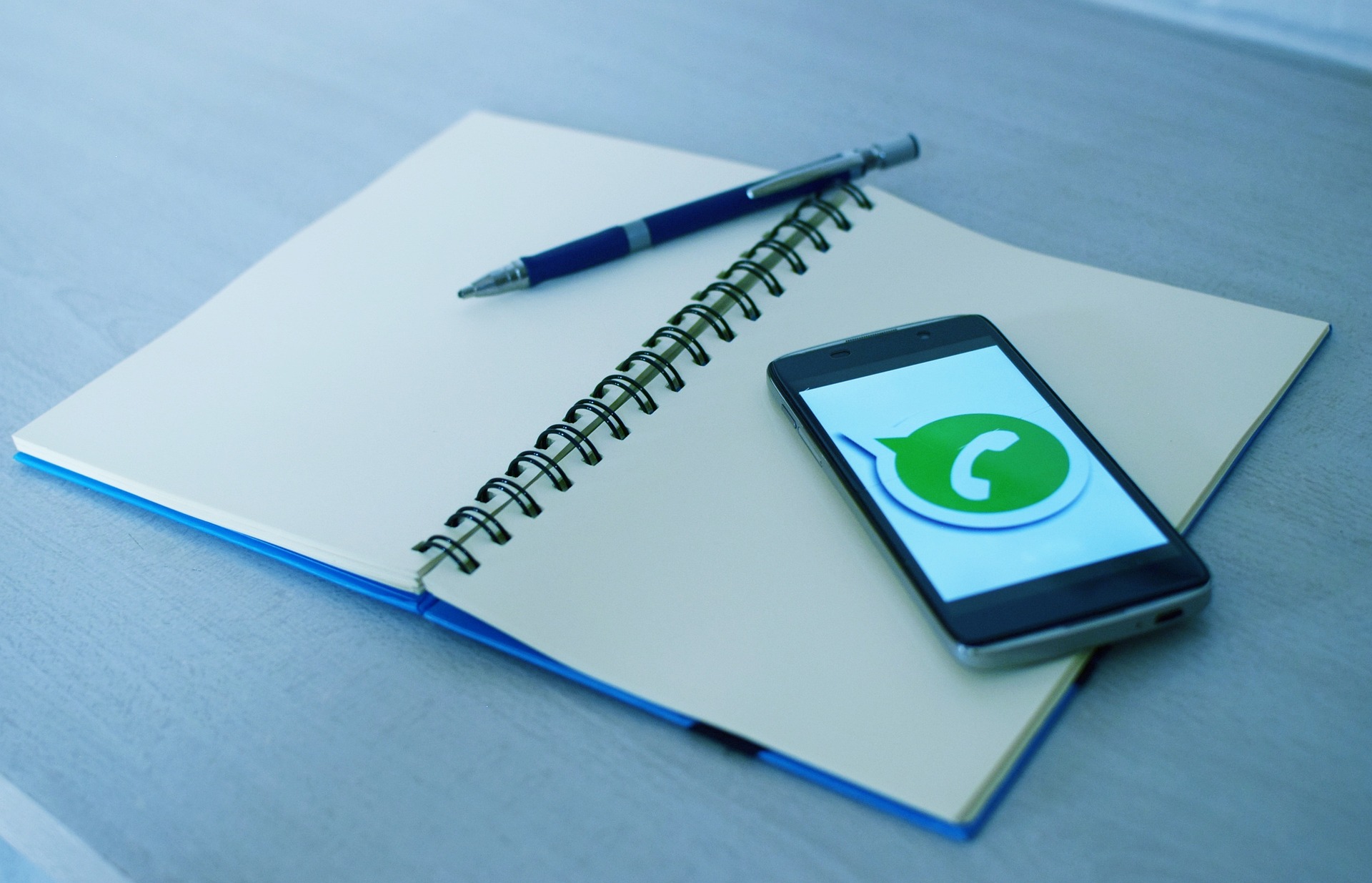 WhatsApp: Confira dicas importantes para a sua utilização