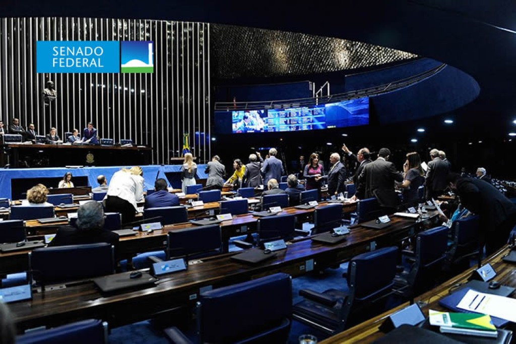 Criação do Sistema Nacional de Bibliotecas Escolares é aprovada pelo Senado
