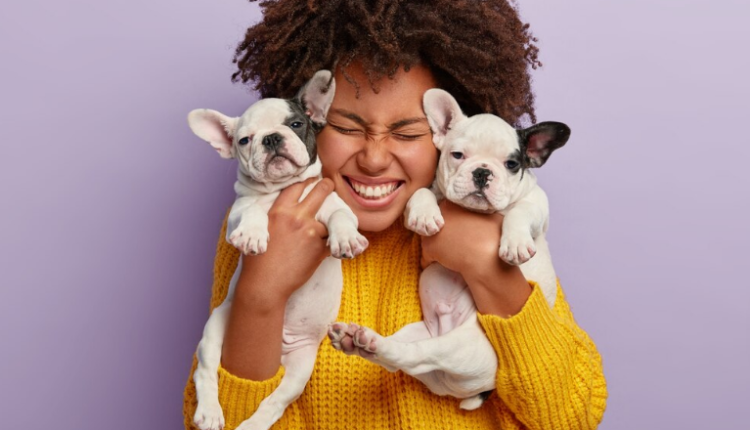 conviver com pets