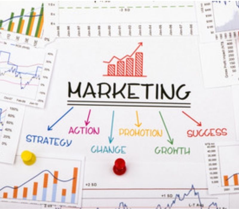 Como escolher minha profissão no marketing digital