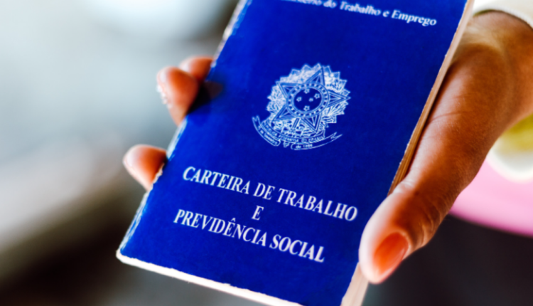 Profissões em alta no Brasil: confira oportunidades e demandas atuais do mercado de trabalho
