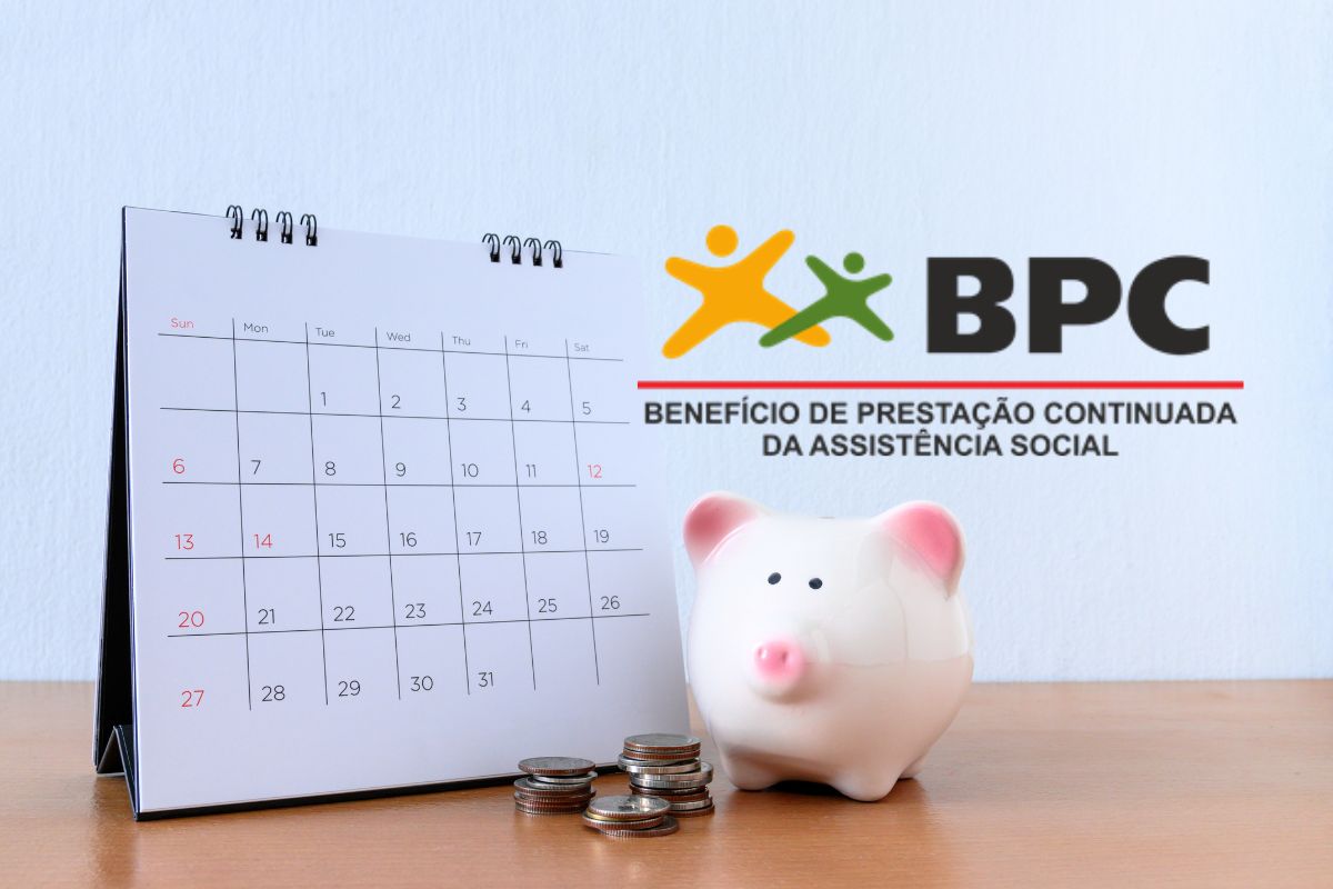 Entenda mais sobre o BPC