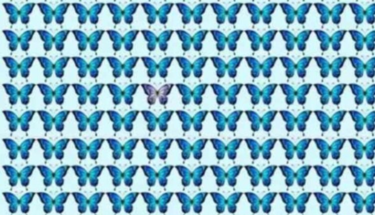 borboleta diferente