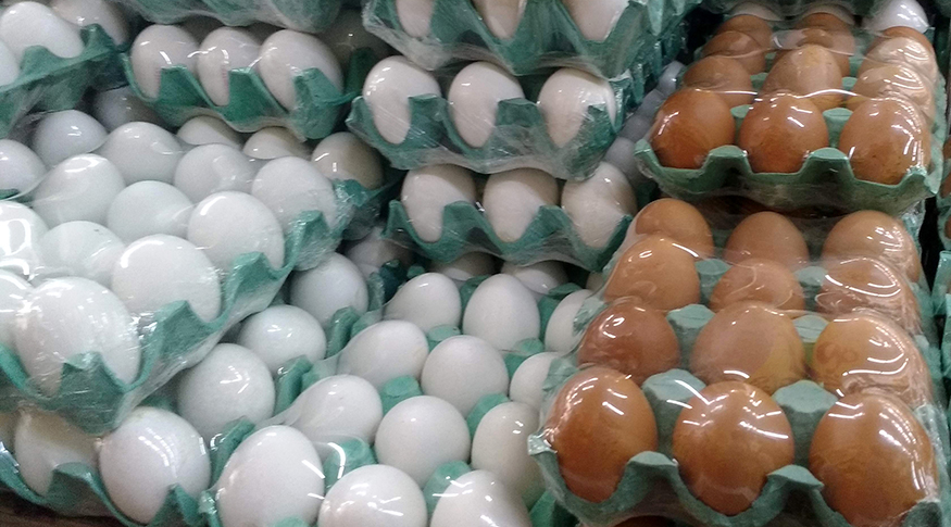Ovos de Ouro? Só no Preço: Como a Alta Afeta o seu Orçamento Ovos de Ouro? Só no Preço: Como a Alta Afeta o seu Orçamento
