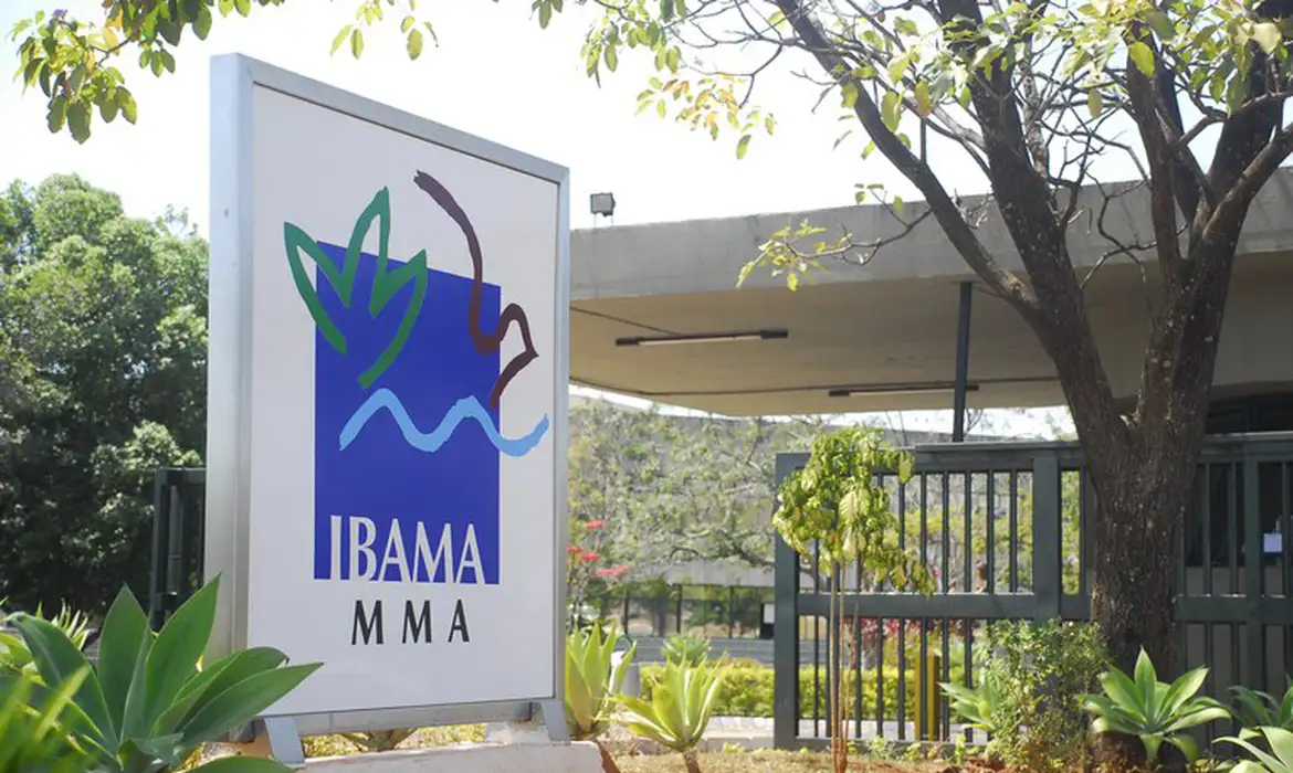 Concurso Ibama 2025: quando o gabarito vai ser divulgado? veja cronograma completo