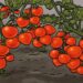 Desafio visual com um ilustração de pés caminhando entre plantas com frutos em formato de coração vermelho