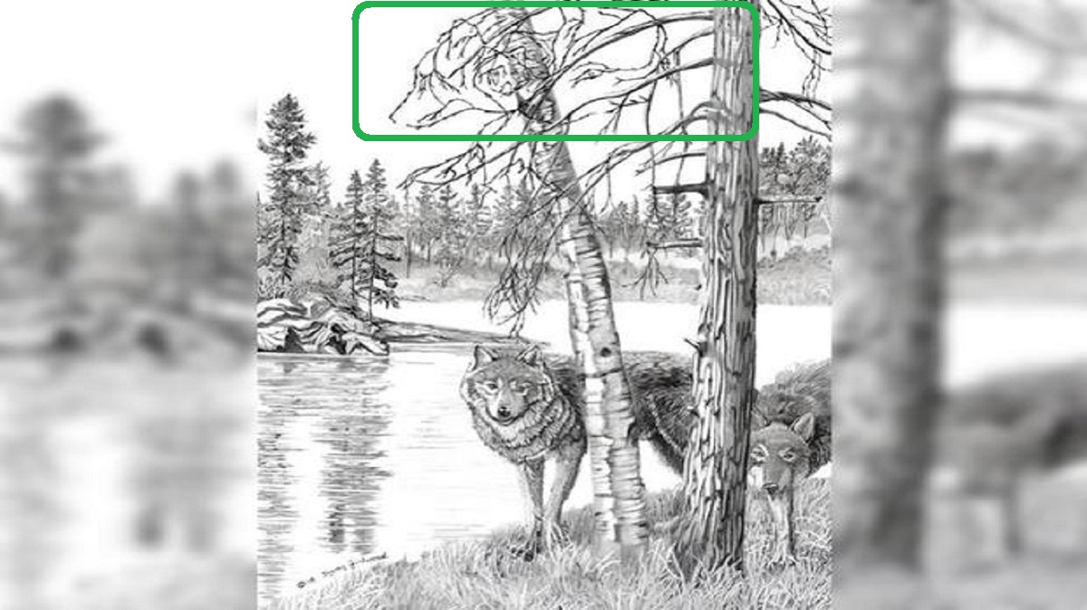Desafio Visual: Lobos escondidos na paisagem. Desafio visual com um desenho em preto e branco de lobos próximos a uma árvore, com uma paisagem ao fundo.