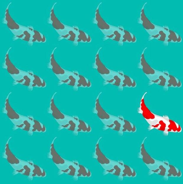 Solução do desafio visual com um padrão de peixes koi vermelhos nadando sobre fundo azul claro