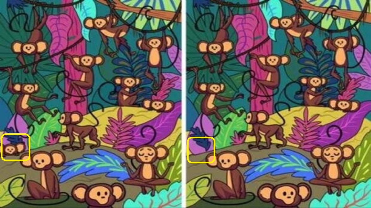 Solução do este Visual com dois quadros lado a lado mostrando macacos na floresta em um jogo de encontrar diferenças.