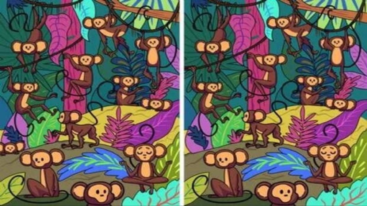 Teste Visual com dois quadros lado a lado mostrando macacos na floresta em um jogo de encontrar diferenças.