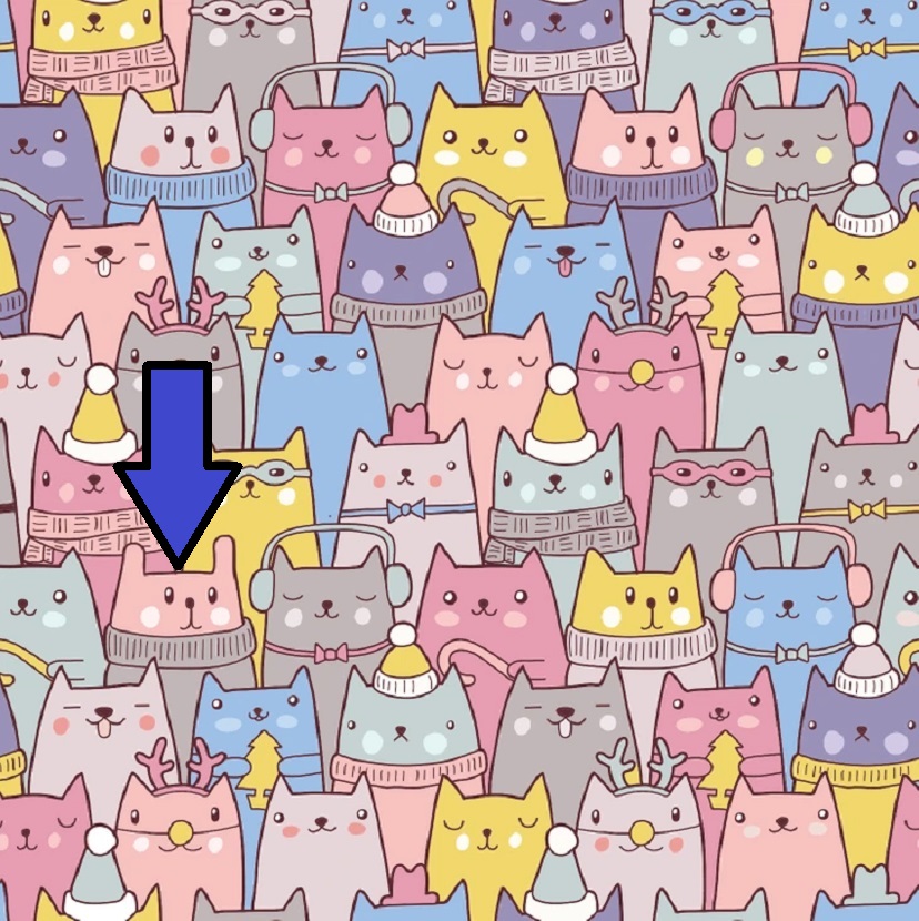 Desafio visual com vários gatos coloridos com acessórios divertidos, como óculos, gorros de Natal e suéteres, em um padrão alegre.