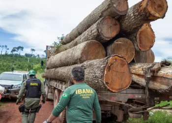 Fiscalização do IBAMA em transporte de madeira