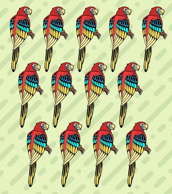 Desafio visual com uma ilustração de várias araras coloridas em tons de vermelho, azul e amarelo, organizadas em três fileiras sobre fundo bege