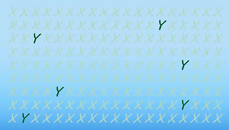 Teste visual com várias letras X verdes espalhadas sobre fundo azul, contendo algumas letras Y escondidas.