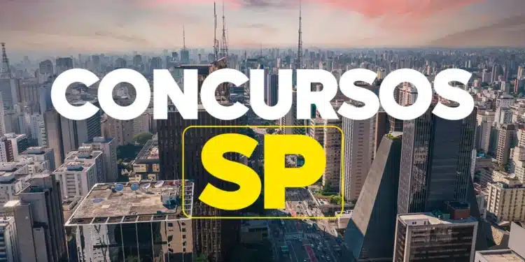 Vista panorâmica da cidade de São Paulo representando concursos públicos no estado.