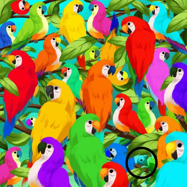 Resposta do desafio visual: Camaleão encontrado entre os papagaios coloridos.