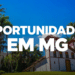 Casarão colonial branco com telhado cerâmico e janelas amarelas cercado por palmeiras imperiais sob céu azul em MG