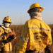 Dois brigadistas fardados com capacetes amarelos e uniformes de combate a incêndios florestais durante treinamento em área de vegetação seca