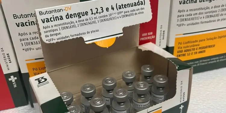 Caixa com frascos da vacina contra dengue do Butantan, destinada ao armazenamento e distribuição pelos municípios.